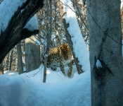 2019 02 21 MNNewZoo 034